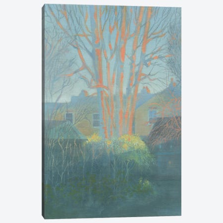 Winter Afternoon In The Garden St Margaret's Canvas Print #IBK68} by Ian Beck Canvas Art