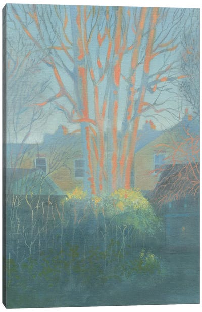 Winter Afternoon In The Garden St Margaret's Canvas Art Print - Ian Beck
