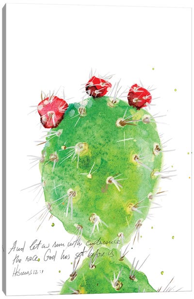 Cactus Verse IV Canvas Art Print