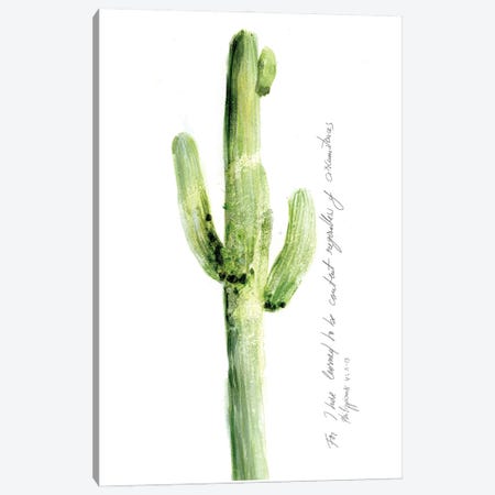 Cactus Verse V Canvas Print #IBL19} by Ingrid Blixt Canvas Art