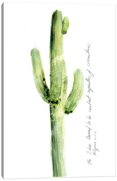 Cactus Verse V Canvas Art Print