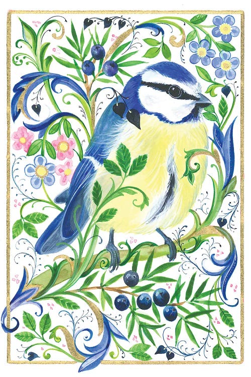 Blue Tit Bird