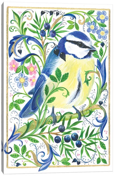 Blue Tit Bird Canvas Art Print - Isabelle Brent