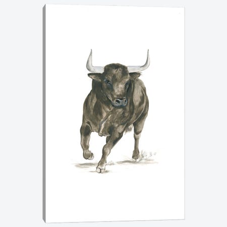 Camargue Bull Canvas Print #IBR18} by Isabelle Brent Canvas Artwork