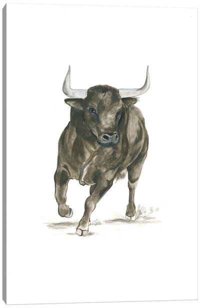 Camargue Bull Canvas Art Print - Bull Art