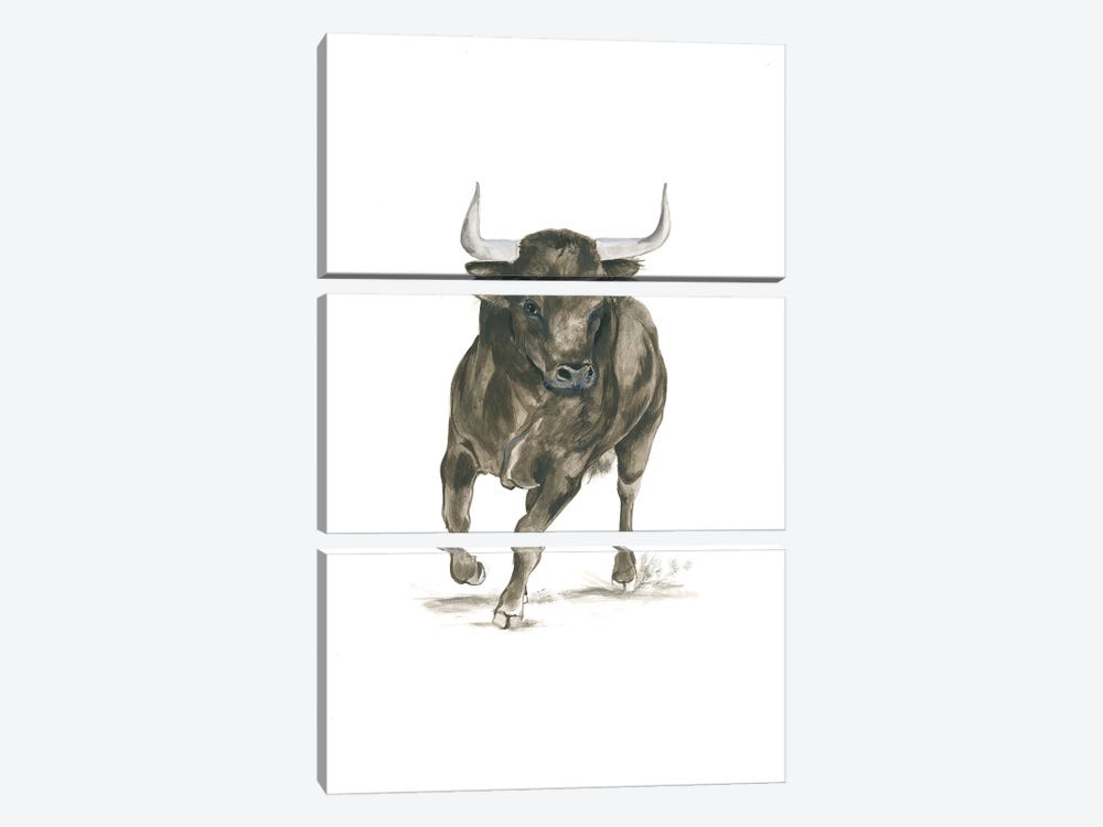 Camargue Bull by Isabelle Brent 3-piece Canvas Art