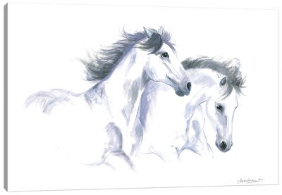 Equine Friends Canvas Art Print - Isabelle Brent