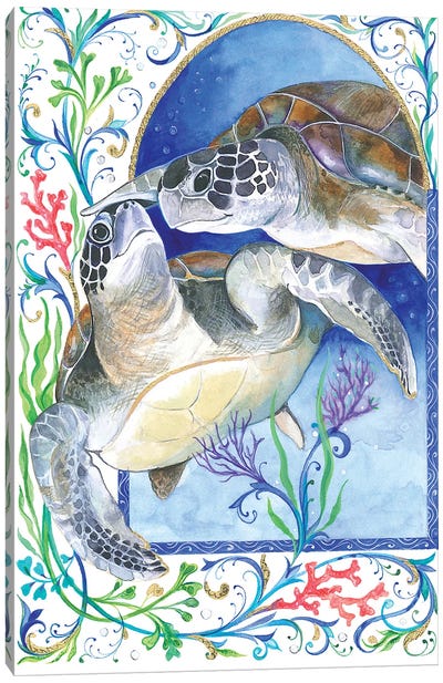 Florentine Sea Turtles Canvas Art Print - Isabelle Brent