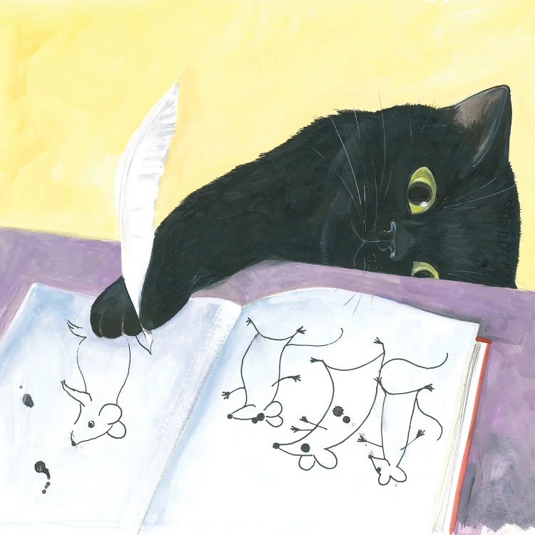 Homework Black Cat