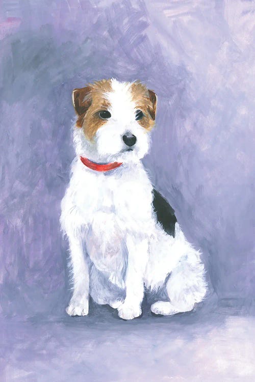 Jack Russell