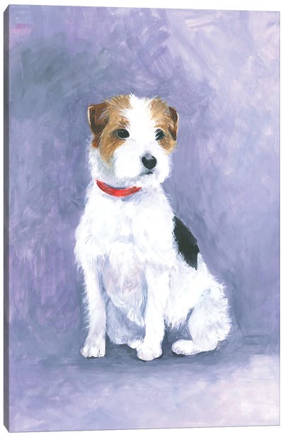 Jack Russell Canvas Art Print - Jack Russell Terrier Art