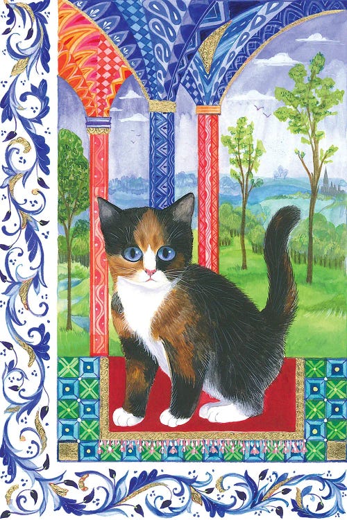 Little Florentine Kitten