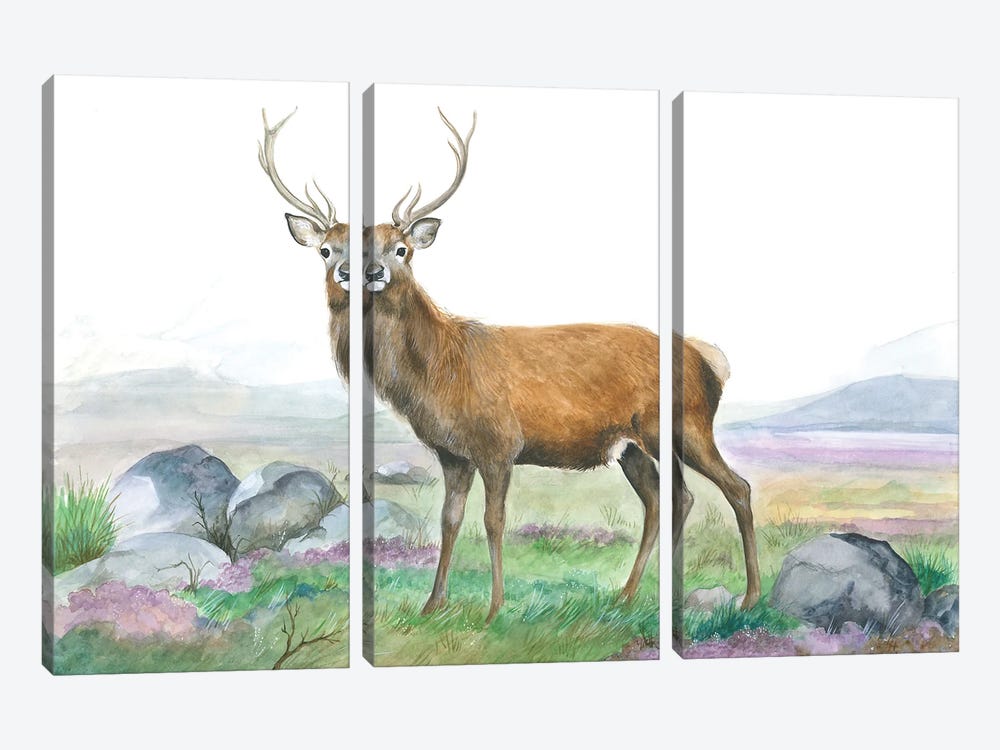 Moreland Stag by Isabelle Brent 3-piece Canvas Wall Art