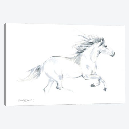 Spirited Horse Canvas Print #IBR46} by Isabelle Brent Canvas Artwork