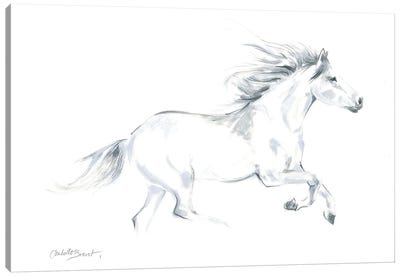 Spirited Horse Canvas Art Print - Isabelle Brent