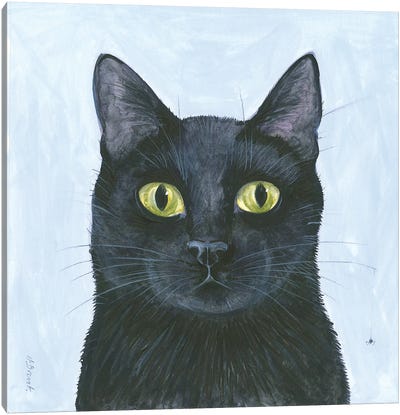 The Cat's Whisker Canvas Art Print - Black Cat Art
