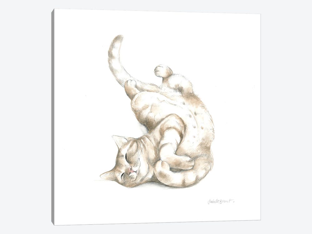 The Happy Cat by Isabelle Brent 1-piece Canvas Artwork
