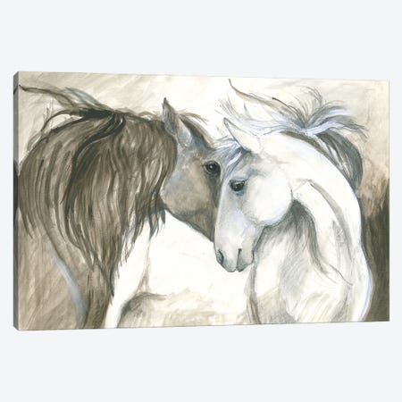 Two Wild Horses Canvas Print #IBR58} by Isabelle Brent Canvas Art