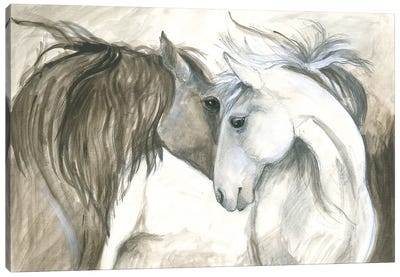 Two Wild Horses Canvas Art Print - Isabelle Brent