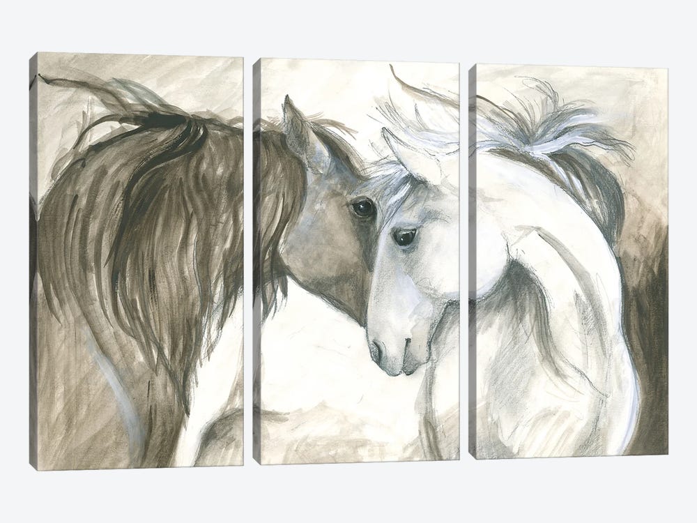 Two Wild Horses by Isabelle Brent 3-piece Canvas Art