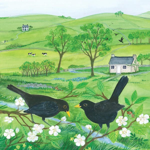 Fine Art Print: Blackbirds And Blossom by Isabelle Brent