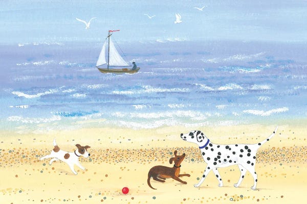 Doggy Plays On The Beach