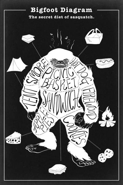 Bigfoot: Big Foot Anatomy Diagram #2 by 5by5collective