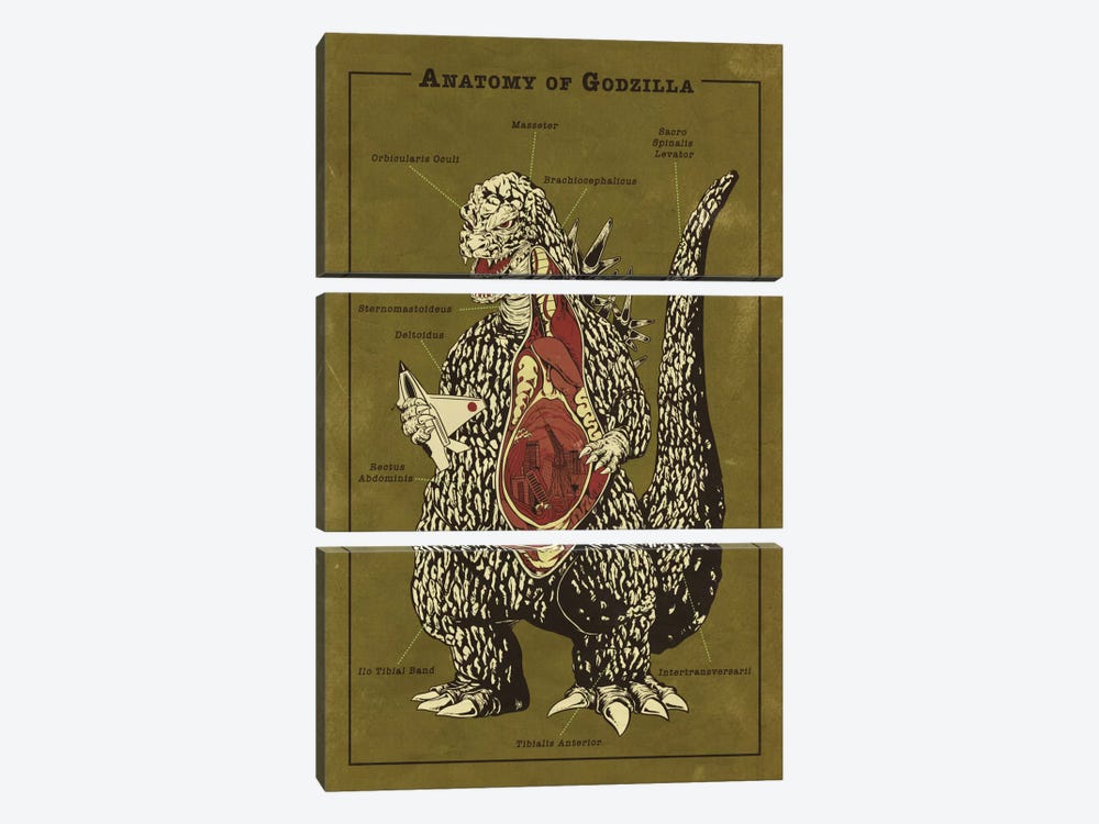 Godzilla Anatomy Diagram Canvas Print by 5by5collective | iCanvas