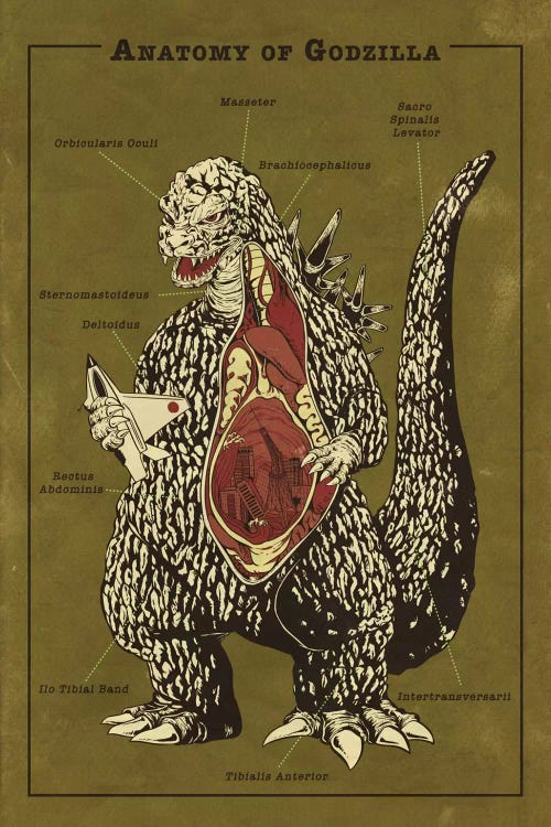 Godzilla Anatomy Diagram