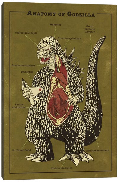 Godzilla Anatomy Diagram Canvas Art Print - Monster Anatomy