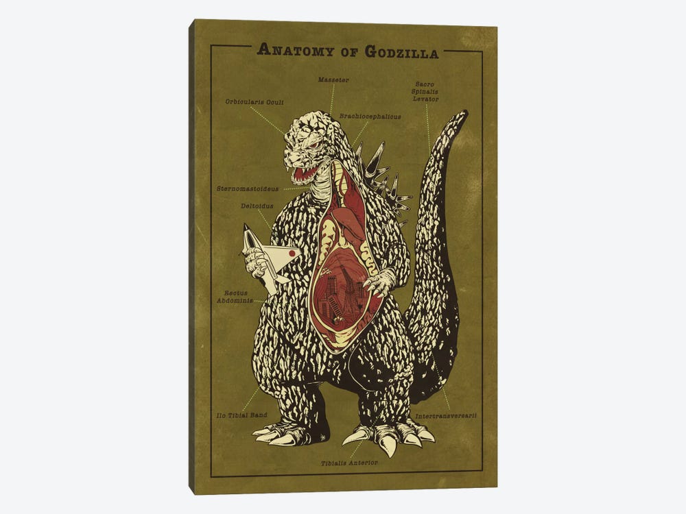 Godzilla Anatomy Diagram by 5by5collective 1-piece Canvas Art
