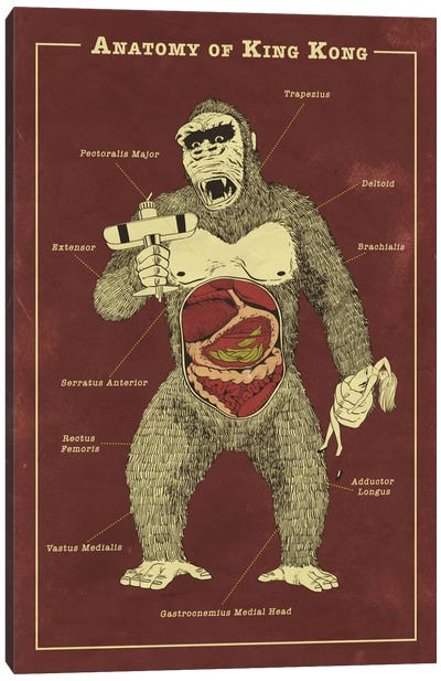 King Kong Anatomy Diagram Canvas Art Print - Monster Art