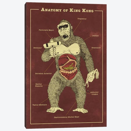 King Kong Anatomy Diagram Canvas Print #ICA1053} by 5by5collective Canvas Art