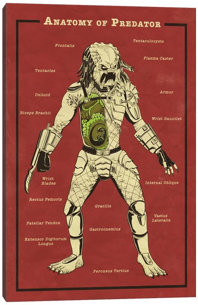 Predator Anatomy Diagram Canvas Art Print - Horror Movie Art