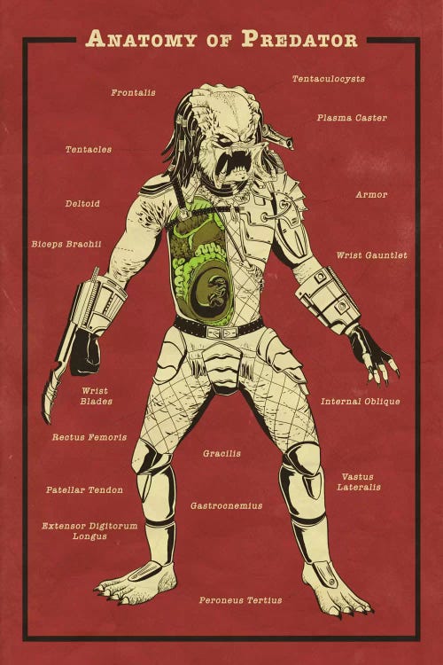 Predator Anatomy Diagram