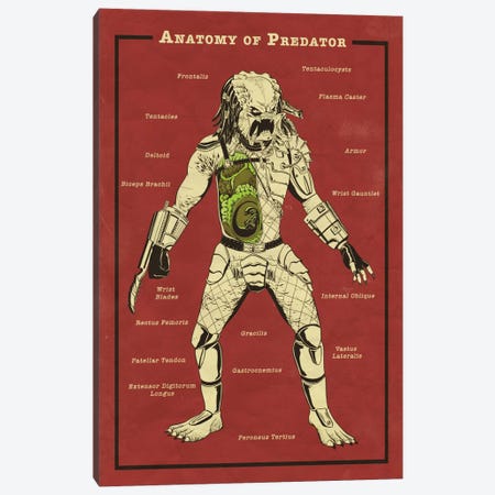 Predator Anatomy Diagram Canvas Print #ICA1054} by 5by5collective Canvas Art Print