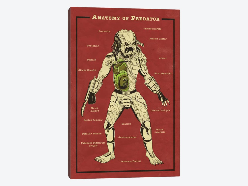 Predator Anatomy Diagram by 5by5collective 1-piece Canvas Art