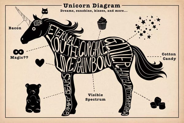 5by5collective: Unicorn Anatomy Diagram #2 by 5by5collective