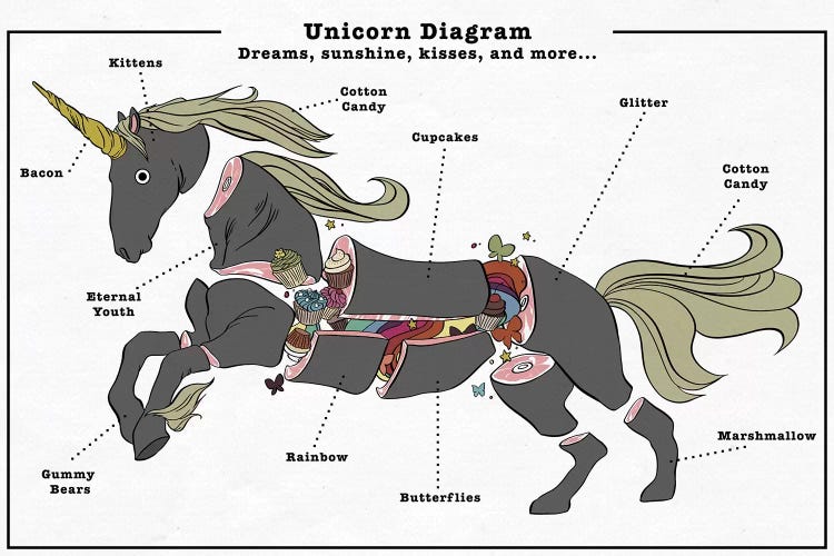 Unicorn Anatomy Diagram #3