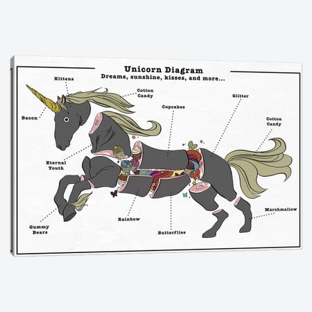 Unicorn Anatomy Diagram #3 Canvas Print #ICA1057} by 5by5collective Canvas Print
