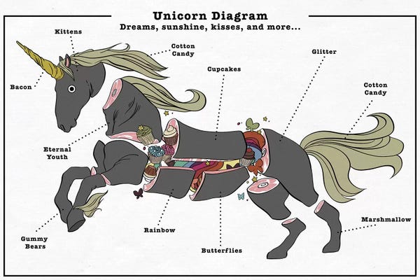 5by5collective: Unicorn Anatomy Diagram #3 by 5by5collective