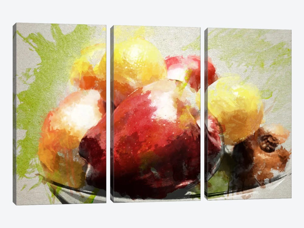 Watercolor Still Life by 5by5collective 3-piece Canvas Wall Art