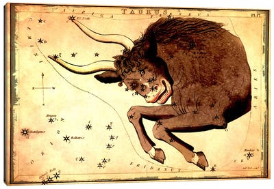 Taurus Constellation III Canvas Art Print - Astrology Art