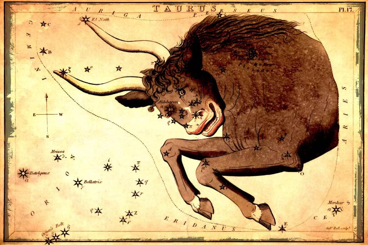 Taurus Constellation III by Sidney Hall wall art