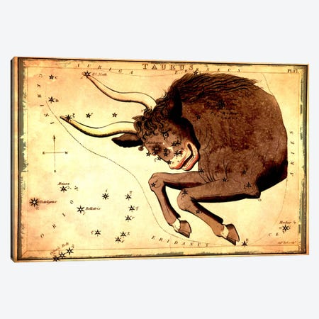 Taurus Constellation III Canvas Print #ICA1081} by Sidney Hall Canvas Print