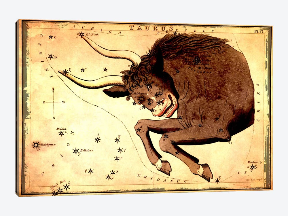Taurus Constellation III by Sidney Hall 1-piece Canvas Artwork