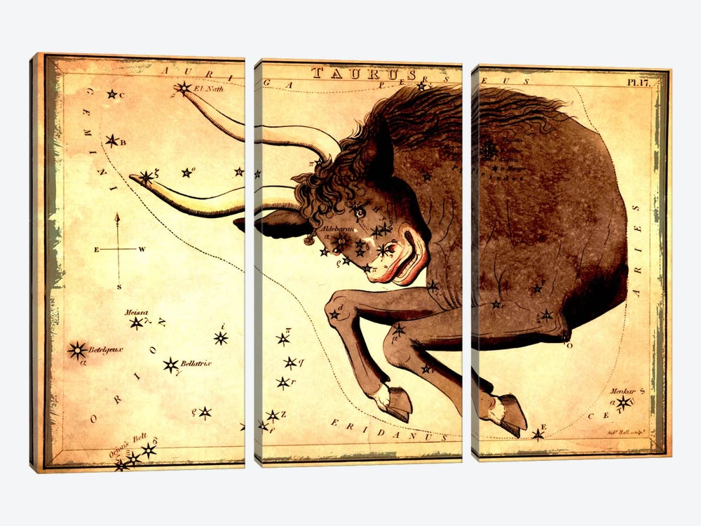 Taurus Constellation III by Sidney Hall 3-piece Canvas Art