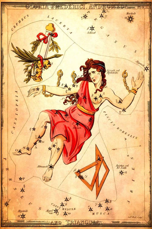 Gloria Frederici Andromeda, & Triangula by Sidney Hall wall art