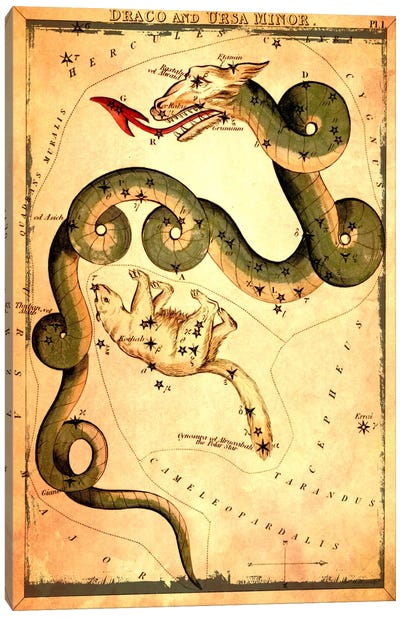 Draco & Ursa Minor Canvas Art Print - Celestial Maps
