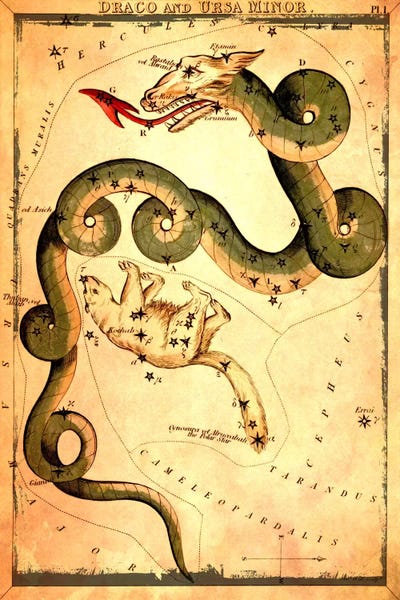 Dragons: Draco & Ursa Minor by Sidney Hall